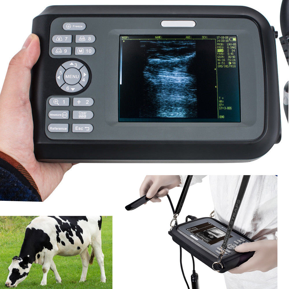Profession Veterinary Ultrasound Scanner Machine Animals Pregnancy +Rectal Probe DIAGNOSTIC ULTRASOUND MACHINES FOR SALE