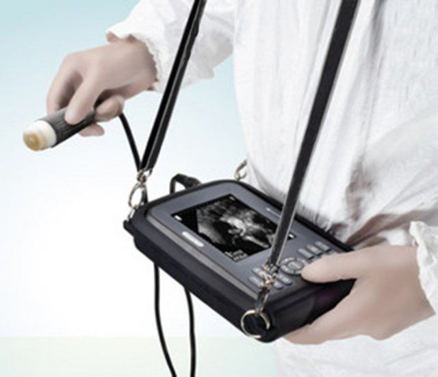 Laptop Veterinary Machine Ultrasound Scanner Animal Convex Probe Pet Clinic USA! DIAGNOSTIC ULTRASOUND MACHINES FOR SALE