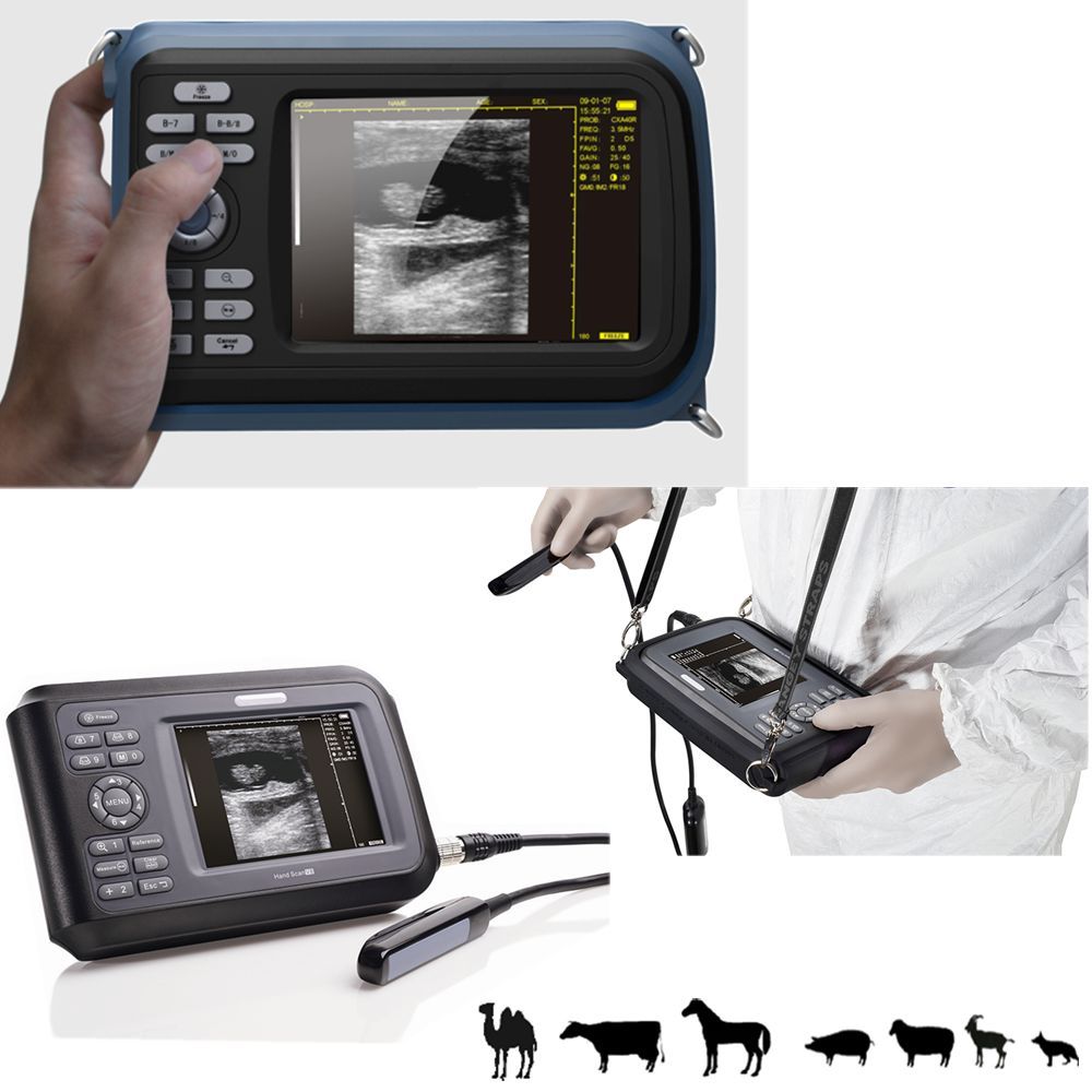 Color LCD Veterinary handheld palm ultrasound scanner Animal Rectal Probe Cows DIAGNOSTIC ULTRASOUND MACHINES FOR SALE