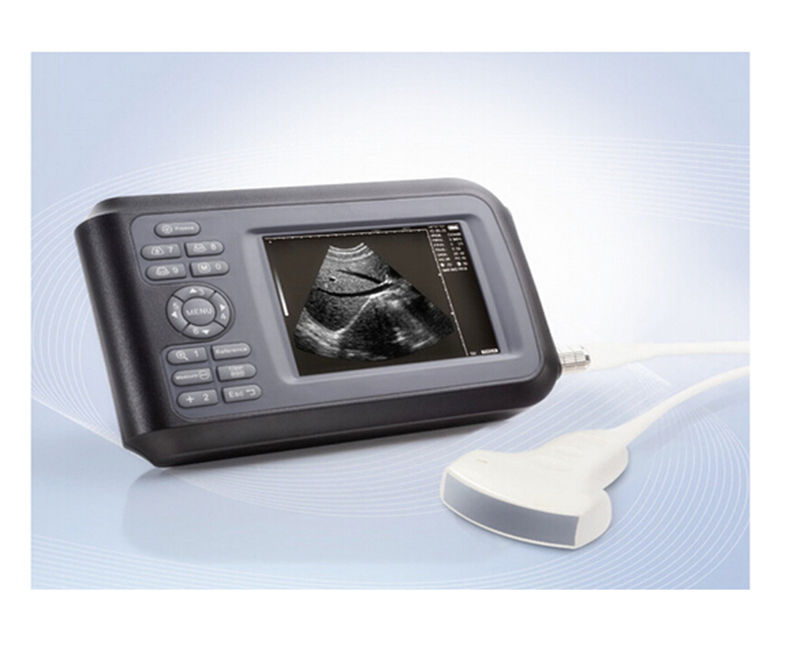 Handheld Digital Color LCD Ultrasound Scanner+7.5Mhz linear Probe For Mankind CE 190891616777 DIAGNOSTIC ULTRASOUND MACHINES FOR SALE