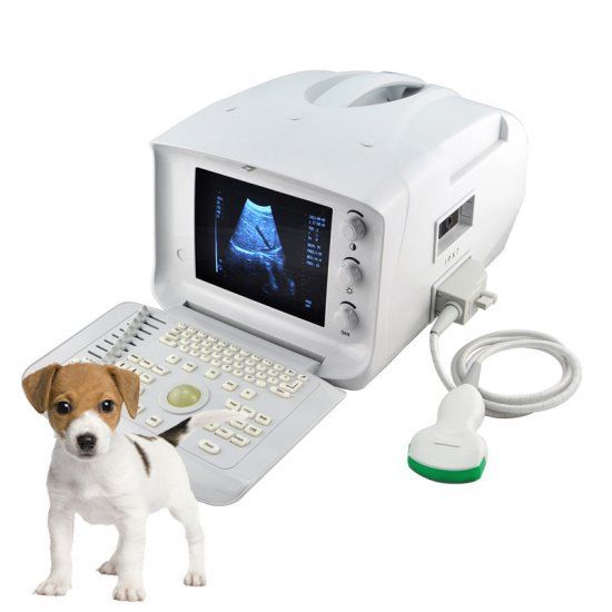 Veterinary Ultrasonic Machine Ultrasound Scanner Convex& Rectal 2 Probe & 3D 190891814692 DIAGNOSTIC ULTRASOUND MACHINES FOR SALE
