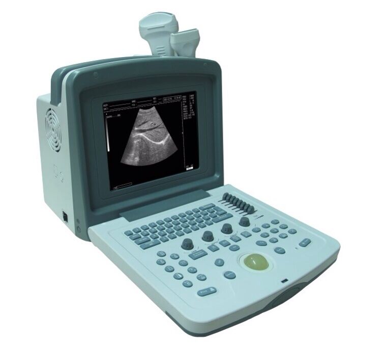 Veterinary Digital Ultrasound Scanner with one probe  Low price, Good quality DIAGNOSTIC ULTRASOUND MACHINES FOR SALE