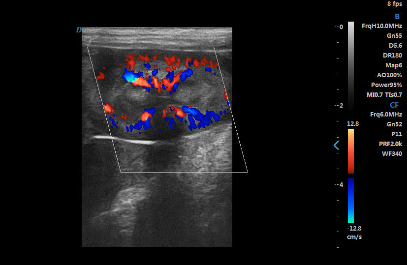 ECO-17Vet High end Small Animal Color Doppler Ultrasound with Micro Convex Probe DIAGNOSTIC ULTRASOUND MACHINES FOR SALE