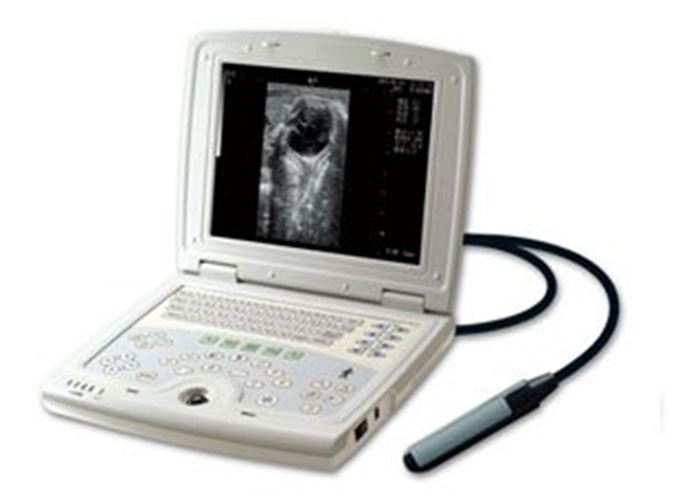 KX5000V Veterinary Laptop Ultrasound-Bovine/Horse & Rectal Insertion Arm-Keebome DIAGNOSTIC ULTRASOUND MACHINES FOR SALE