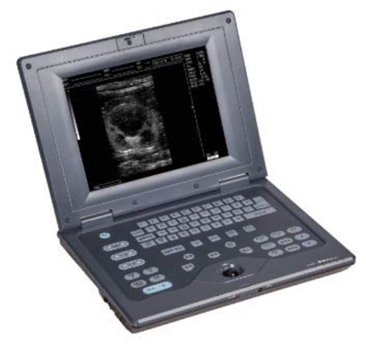 keebomed WED-2018V Veterinary Ultrasound for Large Animals with Rectal Probe DIAGNOSTIC ULTRASOUND MACHINES FOR SALE