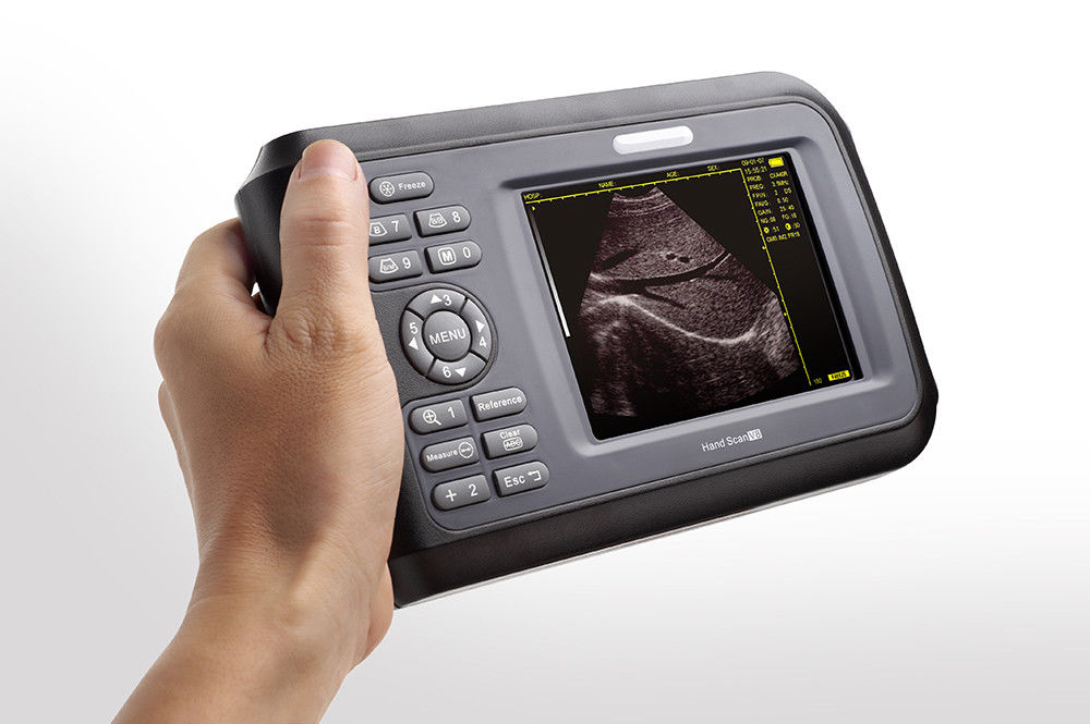 Portable Machine Digital Ultrasound Scanner System 5Mhz Micro-convex Heart Probe 190891055446 DIAGNOSTIC ULTRASOUND MACHINES FOR SALE