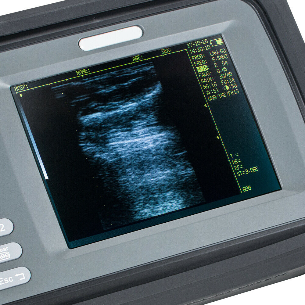 Portable Ultrasonic Ultrasound Scanner/Machine 3.5MHz Convex Probe Veterinary DIAGNOSTIC ULTRASOUND MACHINES FOR SALE