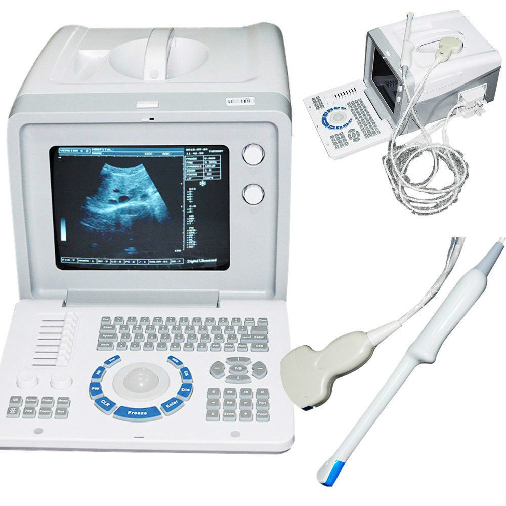 Set 3D Digital Portable Ultrasound Scanner Machine Convex +Transvaginal Probe CE 190891781949 DIAGNOSTIC ULTRASOUND MACHINES FOR SALE