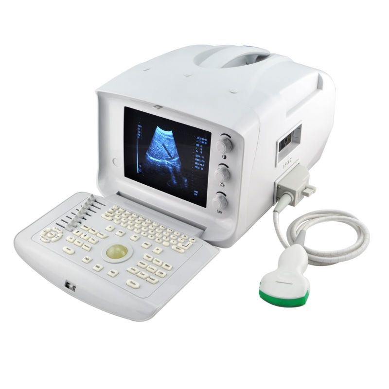 Portable Digital Ultrasound Scanner Machine Veterinary Rectal Probe +3D COW Farm 190891819789 DIAGNOSTIC ULTRASOUND MACHINES FOR SALE