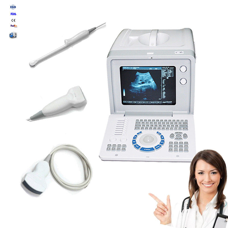 DHL Digital Ultrasound Scanner +Transvaginal,Convex,Linear Probes + External 3D 190891974389 DIAGNOSTIC ULTRASOUND MACHINES FOR SALE