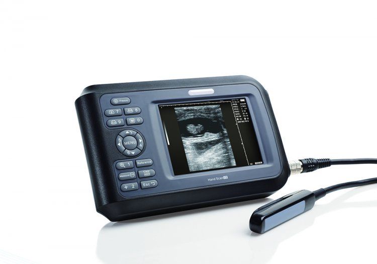 Profession Veterinary Ultrasound Scanner Machine Animals Pregnancy +Rectal Probe DIAGNOSTIC ULTRASOUND MACHINES FOR SALE