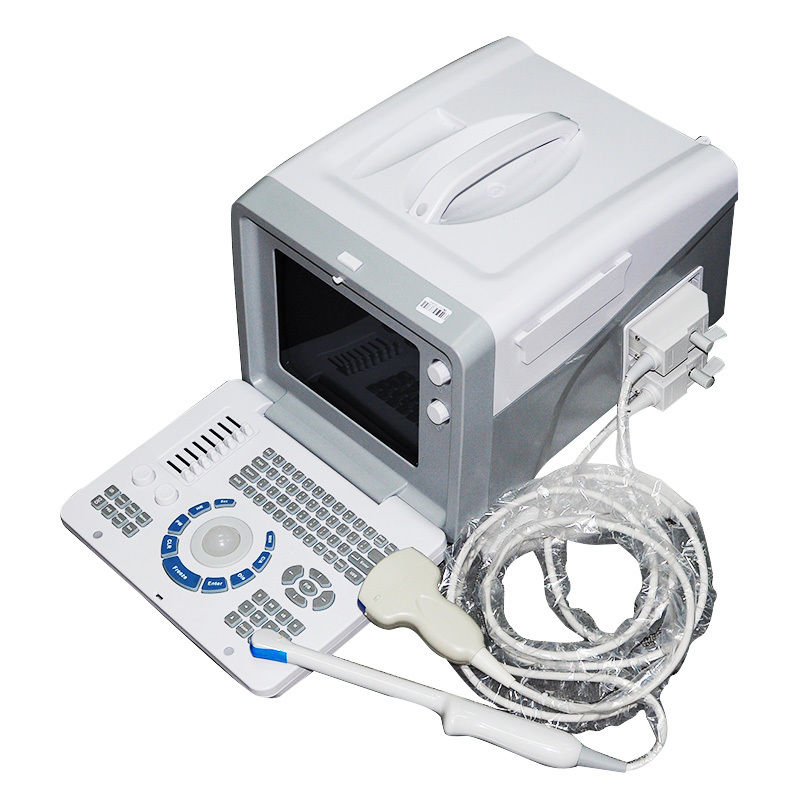 Digital B Ultrasound Scanner Machine Convex/Curved+Transvaginal  Probe Sale 3D DIAGNOSTIC ULTRASOUND MACHINES FOR SALE